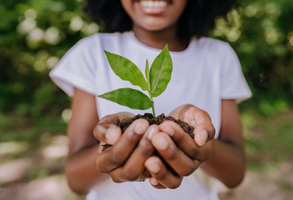 Girl in white tshirt with cupped hands holding a green shoot